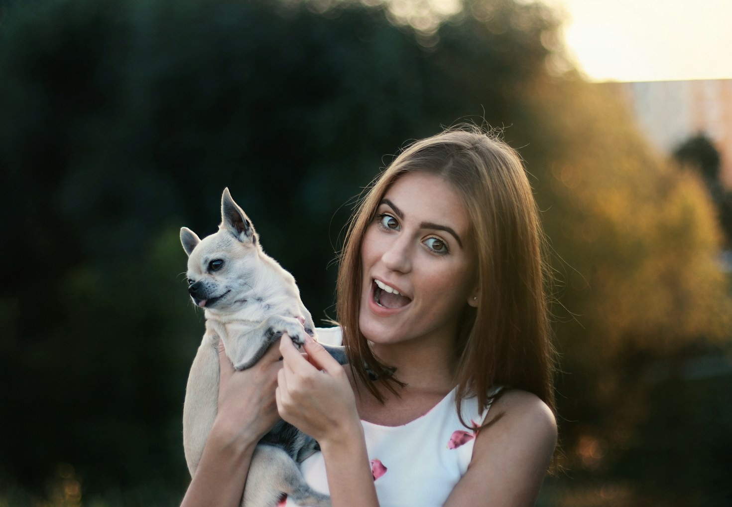Fotografowanie energicznych czworonogów bez zbędnego stresu