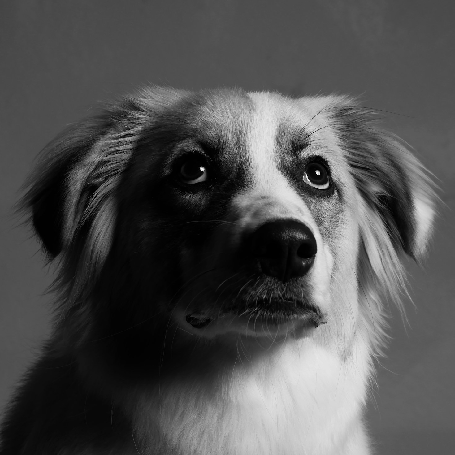 Mój sprzęt fotograficzny: co kryje się za kulisami kadrów